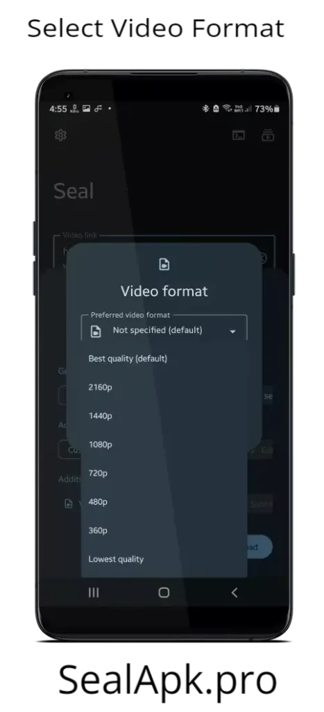 Select Video format
